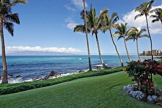 Standard One-Bedroom Oceanfront Queen Room
